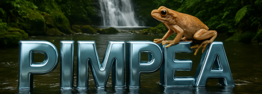 Pimpea Cover Image